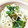 キッチンＴＯＭＯ's cooksnap of when they made きぬさやともやしのナムル.