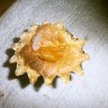 白いぐれーぷ's cooksnap of when they made 簡単★オレンジのチーズケーキ.