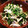 あちゅ★ﾐ's cooksnap of when they made ヘルシー美味！ささみのシソこんぶ和え.