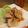 れいにあ's cooksnap of when they made 秋味♪満載♬♪♬柿だれ.