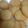 H_Smama's cooksnap of when they made 濃厚ミルク味のクッキー.