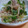 トモ太郎's cooksnap of when they made 鯖缶と大根と三つ葉の和サラダ.