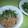 Jock's cooksnap of when they made 小松菜のとろ～り豚ひきあんかけ.