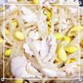 cherry__xo's cooksnap of when they made 簡単一品！鶏ささみともやしの塩ダレ和え.