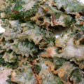 RYOUYAママさん's cooksnap of when they made いわしの大葉はさみ揚げ♪.