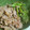 あいぱらりん's cooksnap of when they made せりと牛肉のすき焼き風炒め.