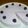coco0314's cooksnap of when they made ブルーベリーの豆乳レアチーズケーキ.