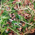 みらいにっき's cooksnap of when they made 水菜と豚肉の炒め物.
