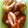 せいじミキ's cooksnap of when they made ちくわの蒲焼！.
