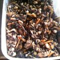 コサージュ's cooksnap of when they made THE和食！ひじきの煮物.