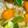 じじばばな私's cooksnap of when they made 豚ロース×たっぷり野菜のオイマヨ炒め.