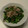 hiromiん's cooksnap of when they made 豚コマと玉葱のオイスター炒め♬.