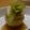 なつみ＆なおみ's cooksnap of when they made かぶの器で鶏つくねの蒸し物.