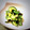 こりにすた's cooksnap of when they made さっぱり♪甘夏の酢の物.