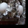 ★みーちゃんママ★'s cooksnap of when they made 節約！一石二鳥！炊飯器deゆで卵！.