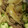 kinoko86's cooksnap of when they made 一人暮らしの簡単料理 牛丼.