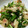 もか75's cooksnap of when they made かぶとベーコンの、ころころ炒め.