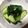 kasuming's cooksnap of when they made 誰でも簡単 わさび香るキュウリ漬け.