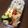 こうへい1206's cooksnap of when they made お弁当☆えのきのベーコン巻き.