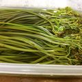 ももんじゃー's cooksnap of when they made 簡単☆ワラビのあく抜き(*´∀`)♪.