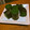 mokun's cooksnap of when they made ほうれん草の海苔巻き☆.