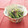 まんまるらあて's cooksnap of when they made ほうれん草の梅和え.