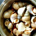ちーきよ's cooksnap of when they made 超簡単！つぶ貝の生姜煮.