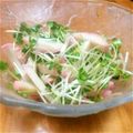 みい833's cooksnap of when they made 給料日前の簡単かいわれおつまみ♪.