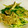 kumi3737's cooksnap of when they made 豚肉と水菜のあっさり煮(柚子胡椒風味).
