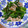 抹茶もつこ's cooksnap of when they made 豚肉とニンニクの芽焼肉のタレ炒め.