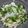 last05's cooksnap of when they made ほろほろ豆腐.