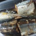 ありんこ。0806's cooksnap of when they made お酢たっぷり☆秋刀魚のお酢煮.
