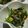 MyDining's cooksnap of when they made ほうれん草のソテー.