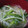 ありぴ～'s cooksnap of when they made もやしと小松菜の中華風春雨スープ.