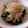ＭａｒｉｅＤｉａｎｅ's cooksnap of when they made 簡単2ステップ★小松菜とじゃこのおひたし.