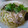 まほじょ's cooksnap of when they made 豚バラともやしの酒蒸し－柚子胡椒醤油で－.