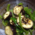 青空健太's cooksnap of when they made 皮ごと美味しい★茄子で簡単あと一品.