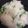 居眠りヒメ's cooksnap of when they made 超姉さん宅の旬菜豆ごはん☆.