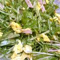 手作り★ママ's cooksnap of when they made もう一品♪水菜のごまマヨサラダ～.