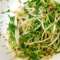 ぱにぱる's cooksnap of when they made モヤシと豆苗のナムル.