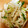 みるる♪'s cooksnap of when they made 大根とツナとエノキのシャキシャキサラダ.