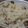 いいくん's cooksnap of when they made きのこたっぷり炊き込みご飯.