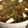 ちょぽまま's cooksnap of when they made 簡単！カレー鍋.