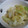 みのむしみーしゃん's cooksnap of when they made もやしとキャベツのごまおひたし.