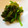horseland's cooksnap of when they made 簡単すぎるほうれん草ゴマ和え.