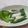メルティローズ's cooksnap of when they made いんげんの胡麻ネーズがけ♬.