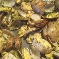 おっちょこめぐ's cooksnap of when they made あさりの酒蒸し　～あおさとごま油風味～.