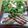 hanａｃｏ_ne3's cooksnap of when they made シンプルなアスパラの肉巻き.
