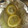 Leopon☆'s cooksnap of when they made 簡単しっとり＊ささみレモン.
