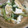 はらぺこ青虫's cooksnap of when they made 豚肉と青梗菜と厚揚げのあんかけ炒め煮.